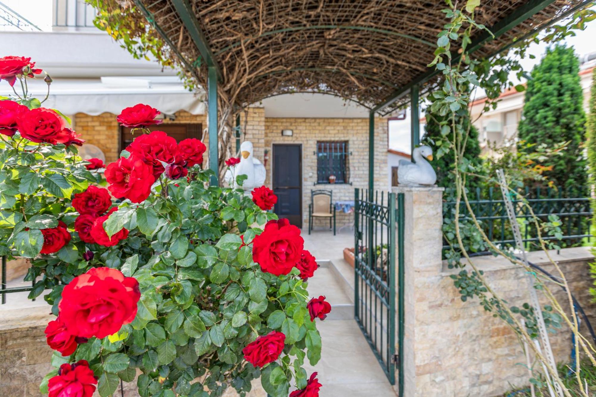 Sofia'S Villa Nikiti  Ngoại thất bức ảnh